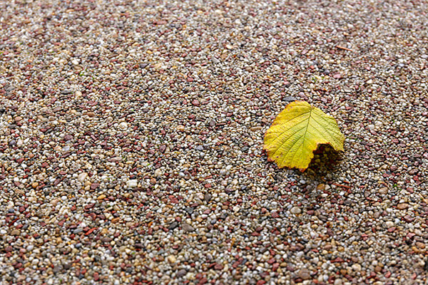 Resin bound driveway company Northeast England, Scotland, Cumbria, and Yorkshire