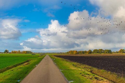 Farm Road Surfacing Northeast England, Scotland, Cumbria, and Yorkshire